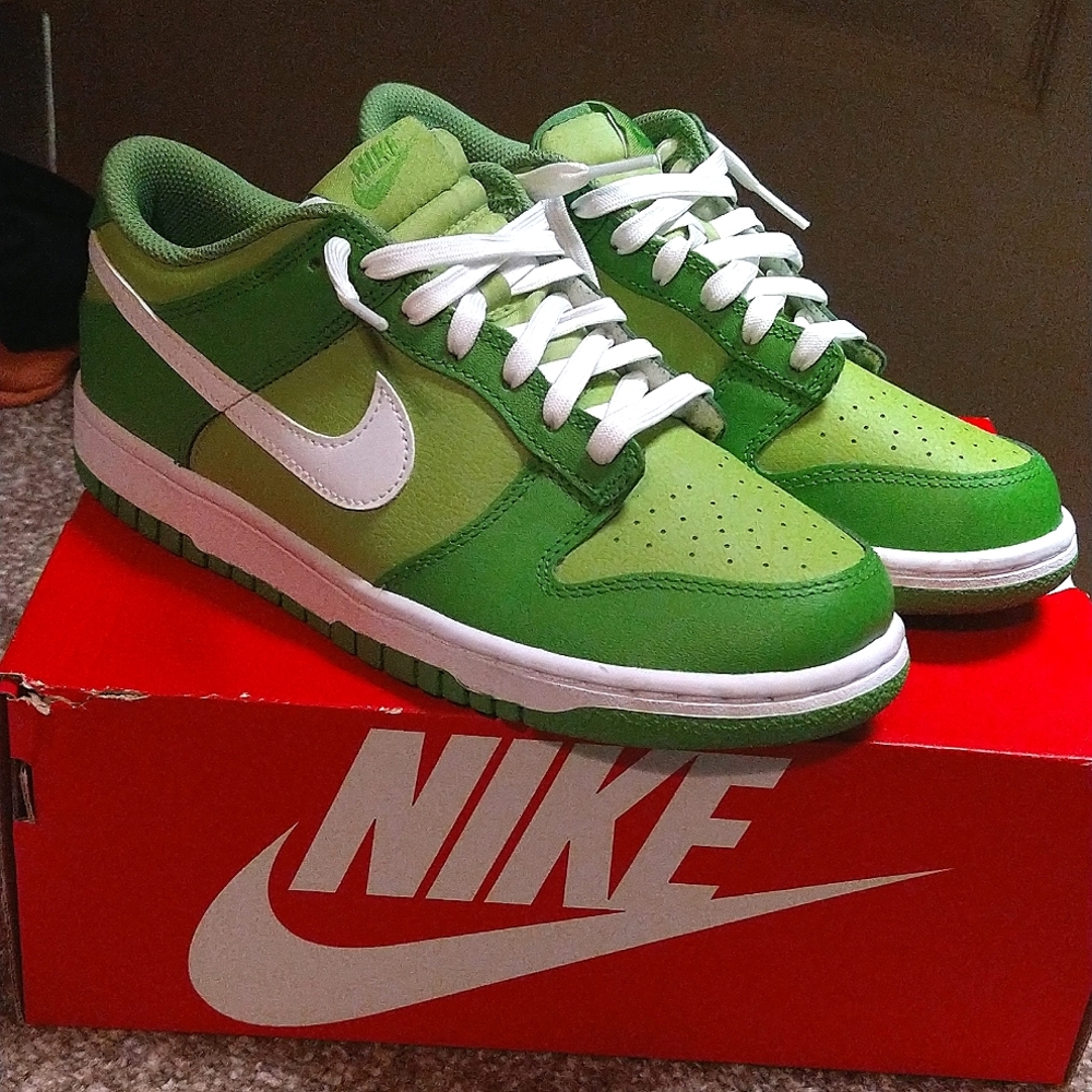 Sz 7y Nike dunks chlorophyll aka kermit